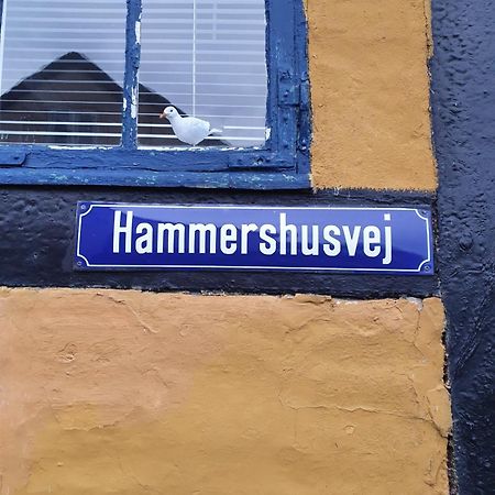 Sandvighus Allinge-Sandvig Exteriér fotografie