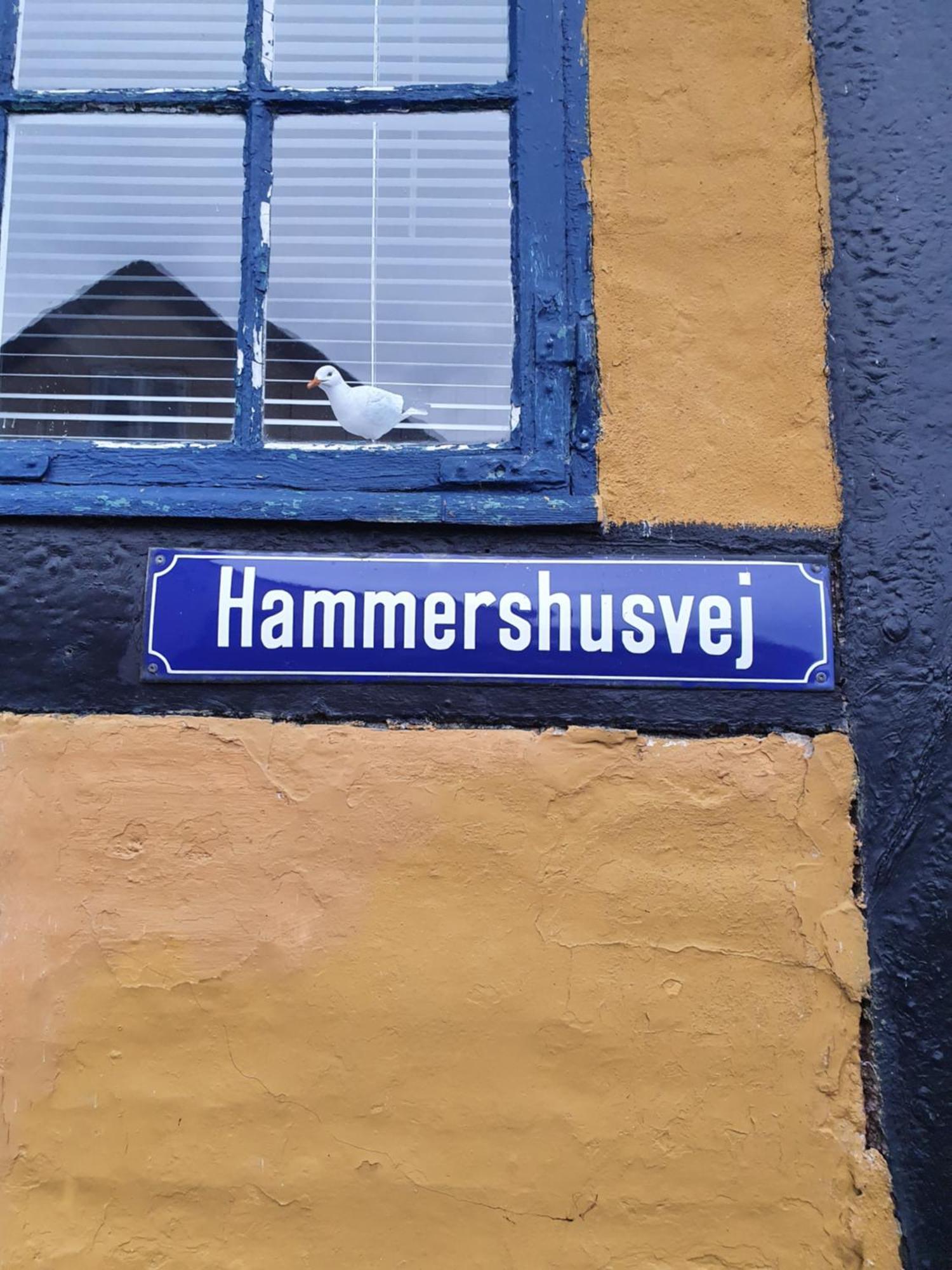 Sandvighus Allinge-Sandvig Exteriér fotografie